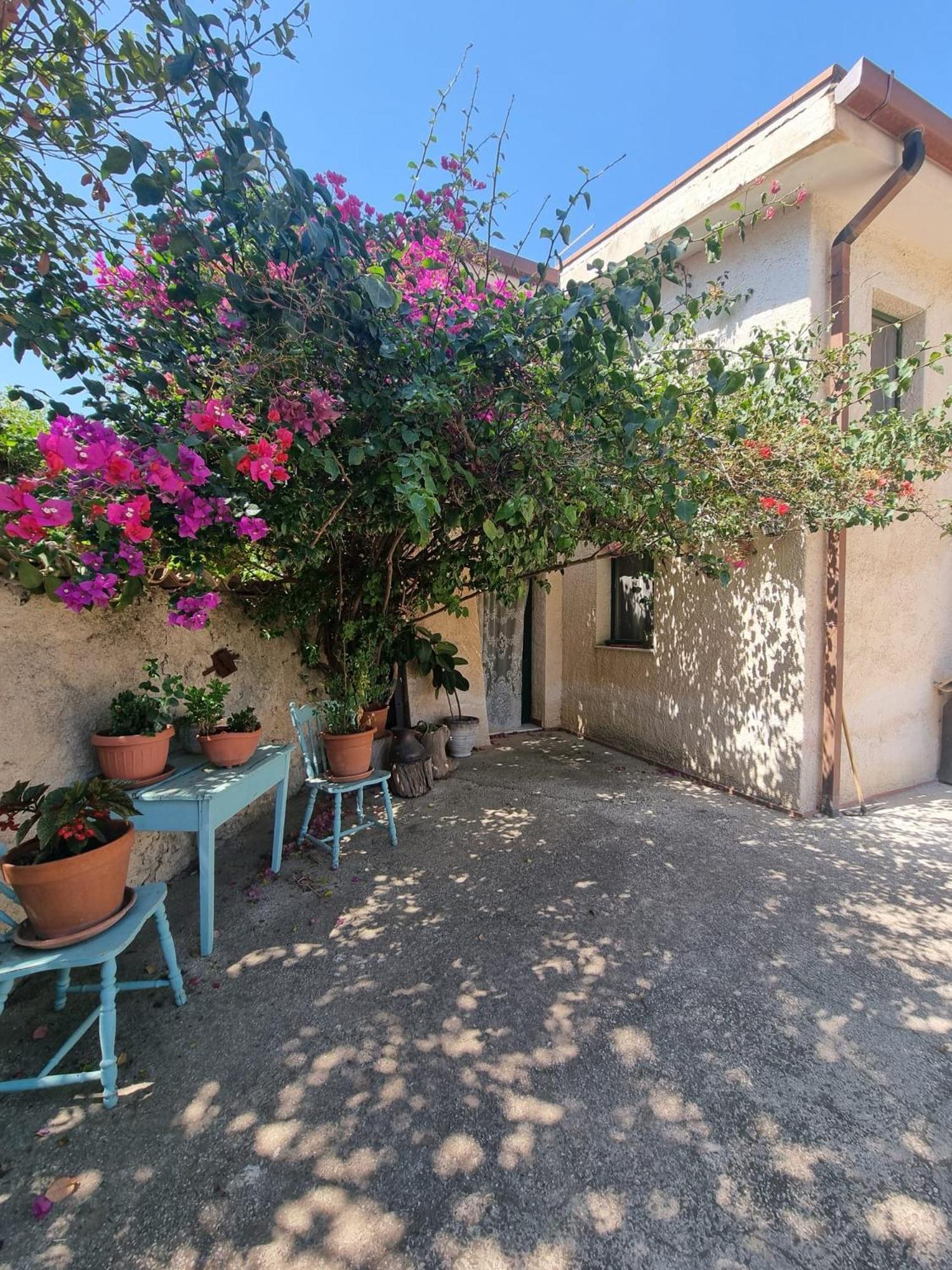 La Bouganville San Cataldo  Luaran gambar
